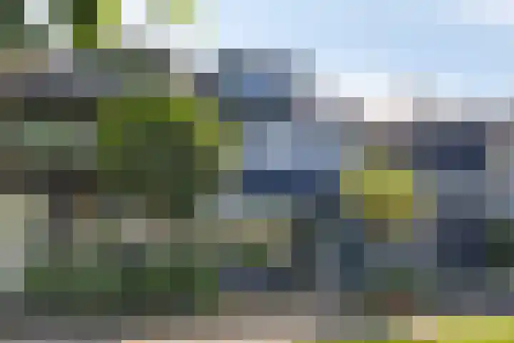 Heemraadsingel 21 Oudewater thumbnail 28