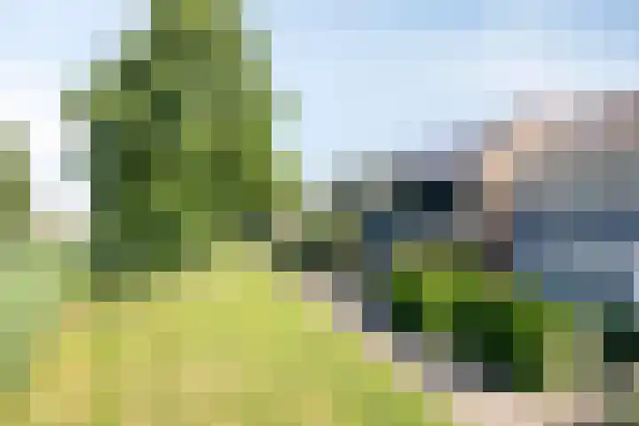 Heemraadsingel 21 Oudewater thumbnail 29