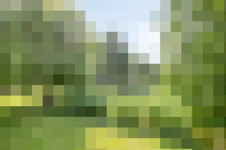 Heemraadsingel 21 Oudewater thumbnail 30