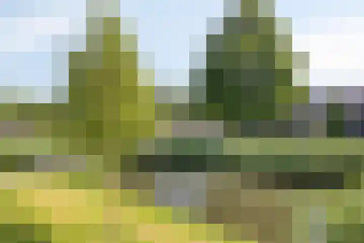 Heemraadsingel 21 Oudewater thumbnail 31