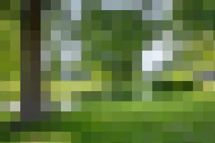 Heemraadsingel 21 Oudewater thumbnail 34