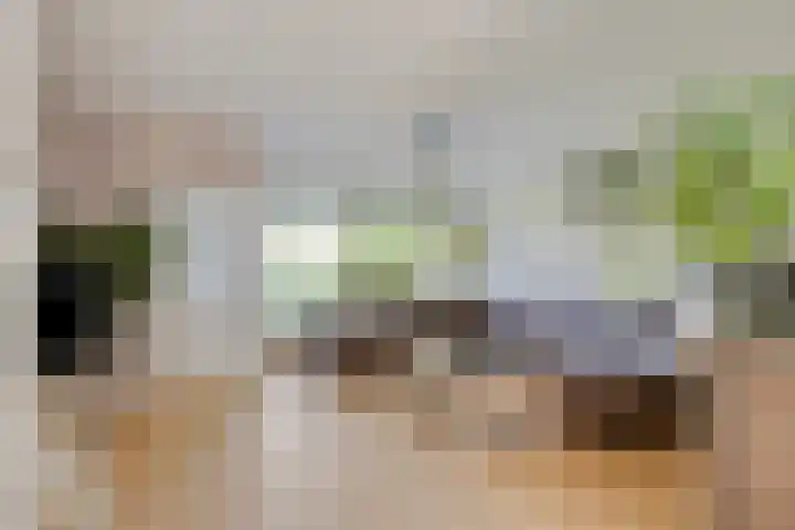 Heemraadsingel 21 Oudewater thumbnail 4