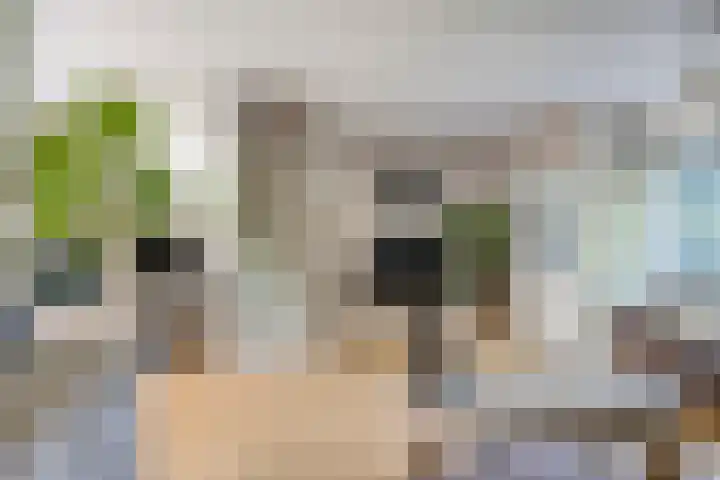 Heemraadsingel 21 Oudewater thumbnail 5