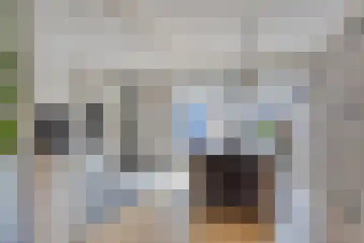 Heemraadsingel 21 Oudewater thumbnail 6