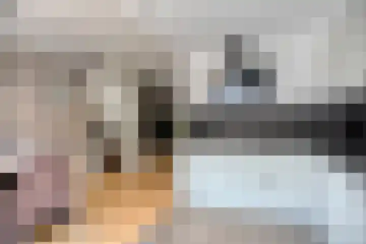 Heemraadsingel 21 Oudewater thumbnail 8