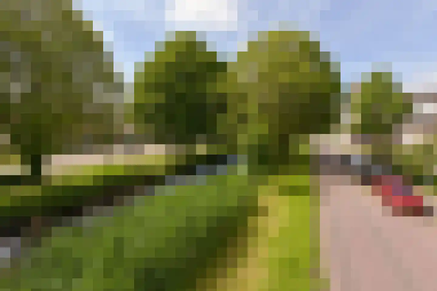 Heemraadsingel 28 Mijdrecht thumbnail 33