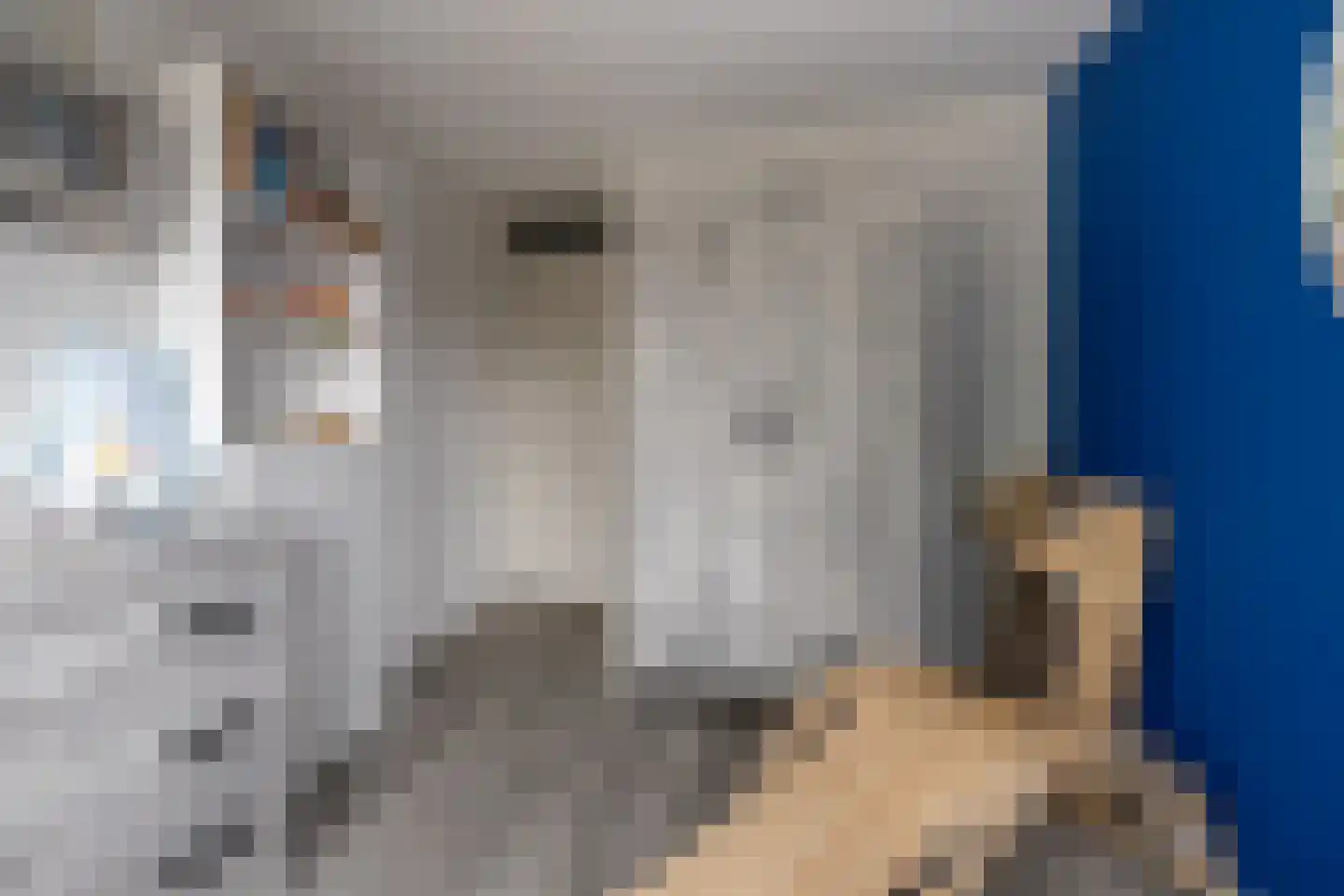 Heemraadsingel 29 Ter Aar thumbnail 11