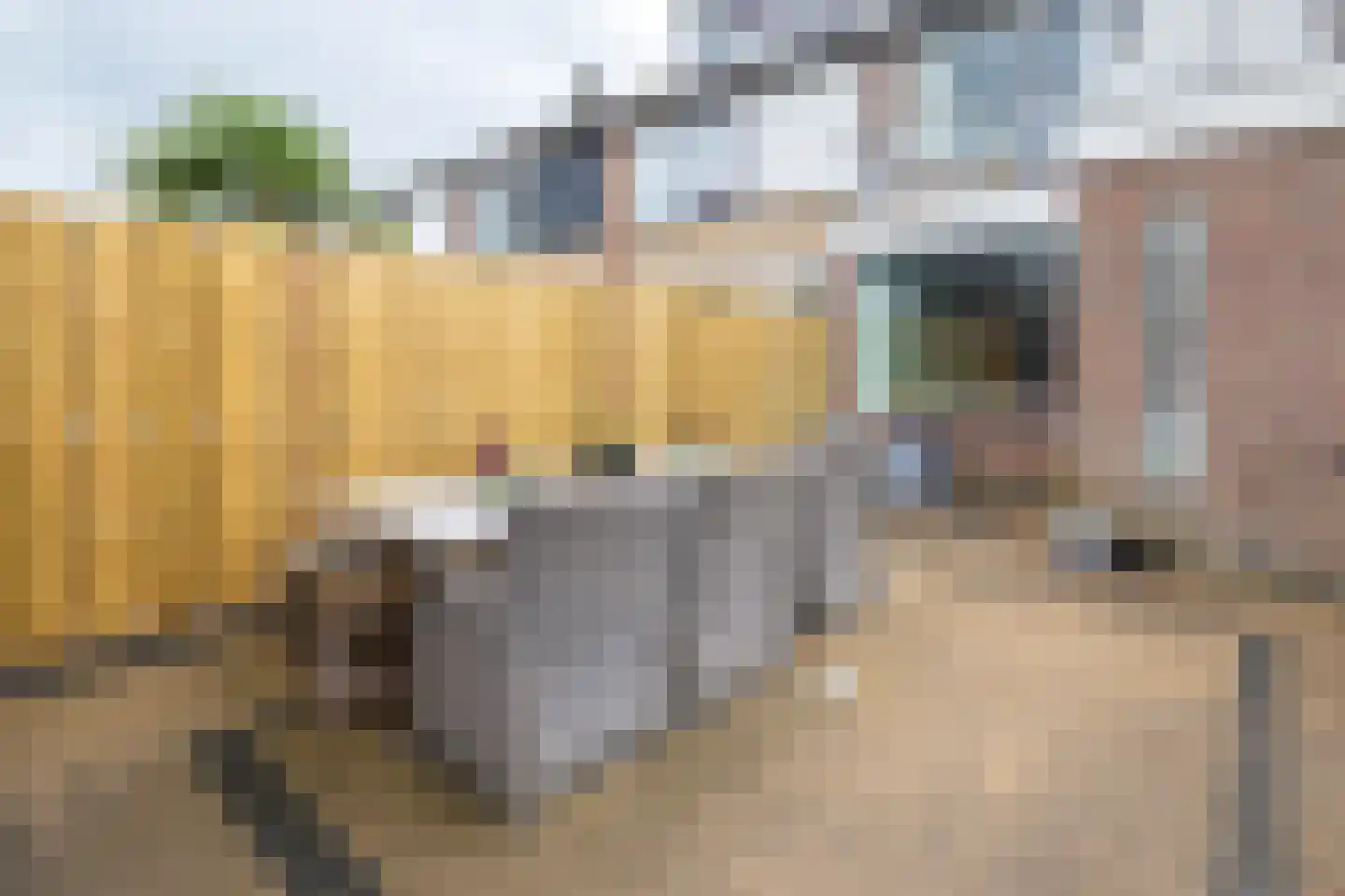 Heemraadsingel 29 Ter Aar thumbnail 22