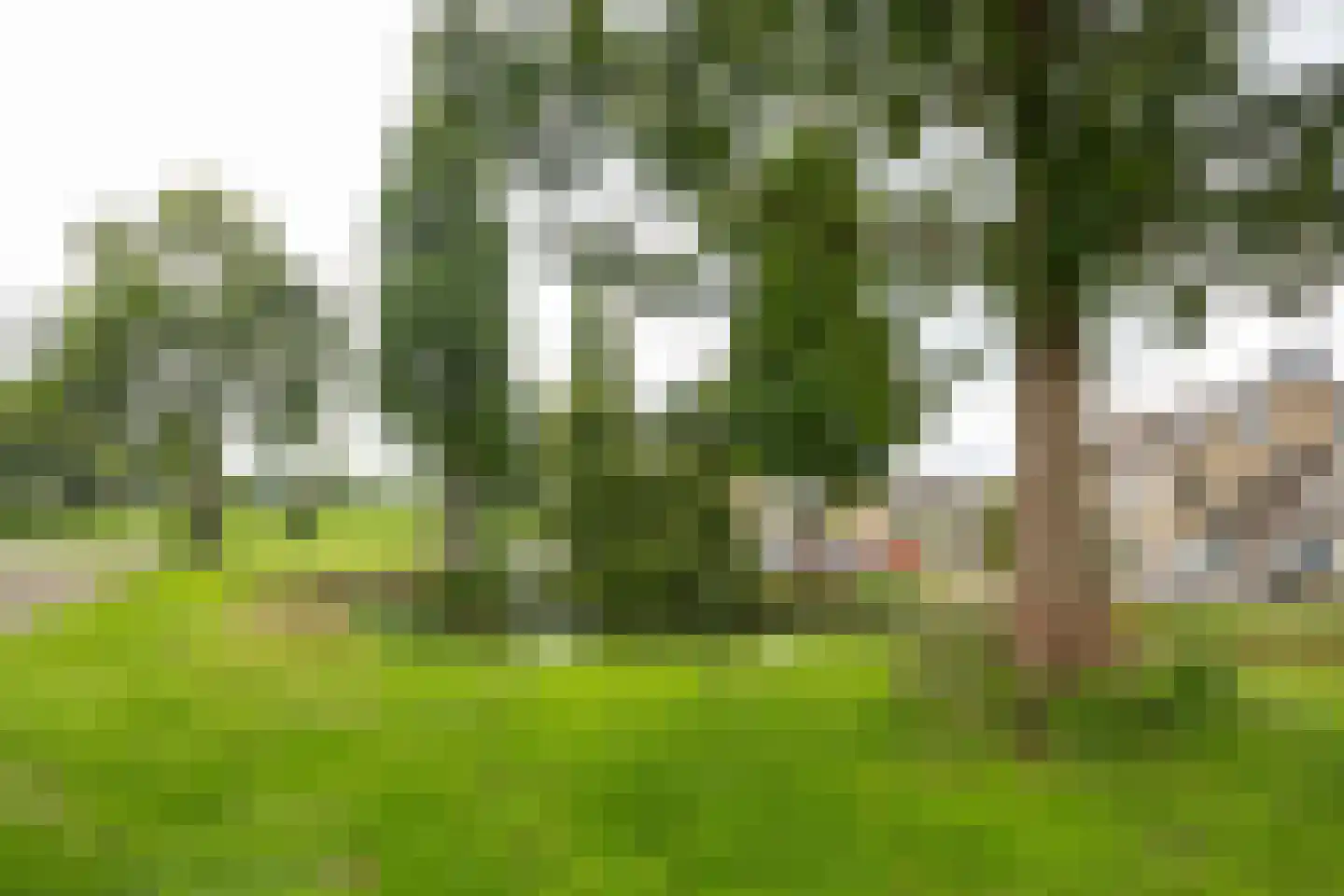 Heemraadsingel 29 Ter Aar thumbnail 24
