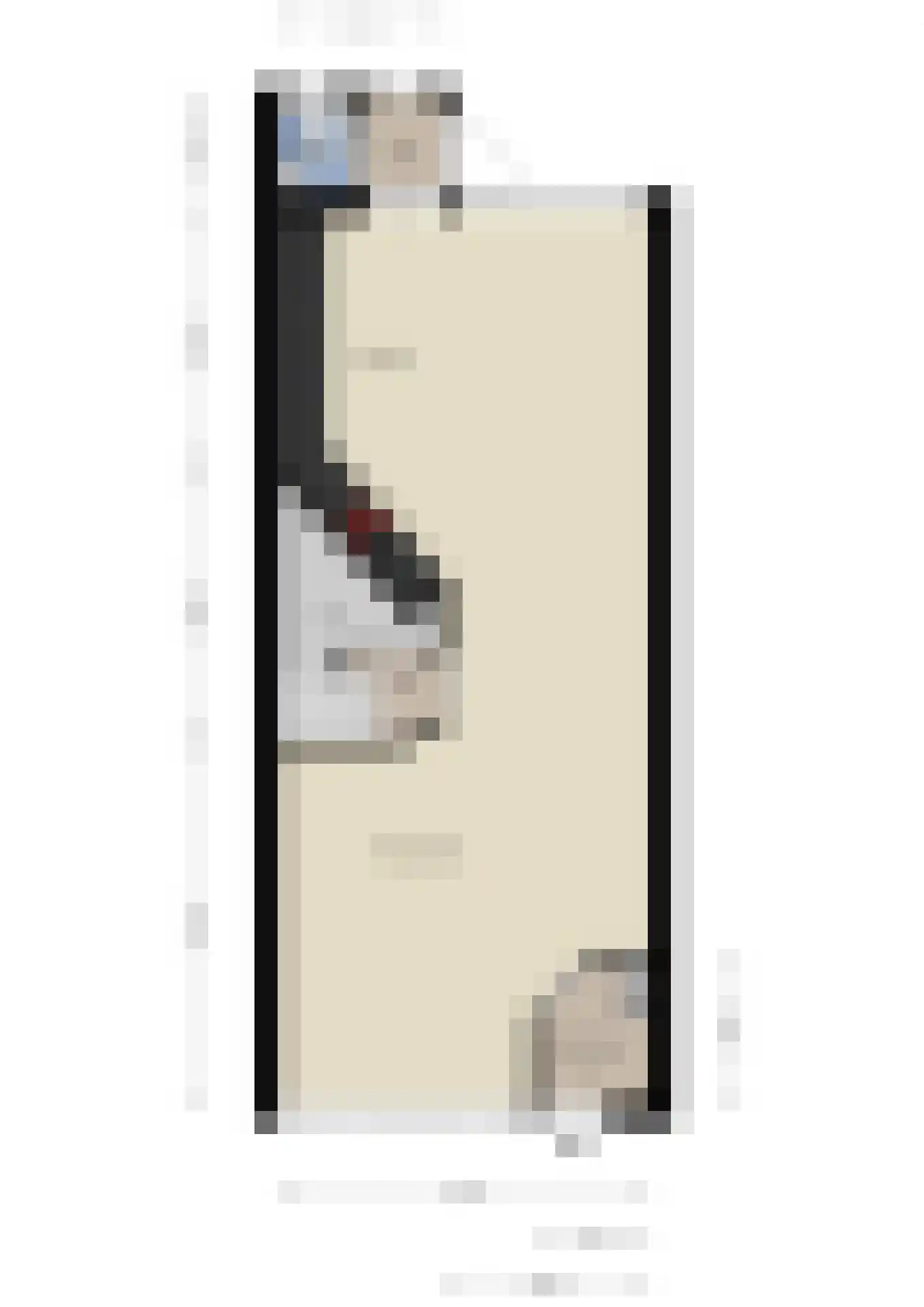 Heemraadsingel 29 Ter Aar thumbnail 26
