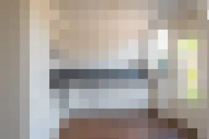 Heemraadsingel 45 Ter Aar thumbnail 12