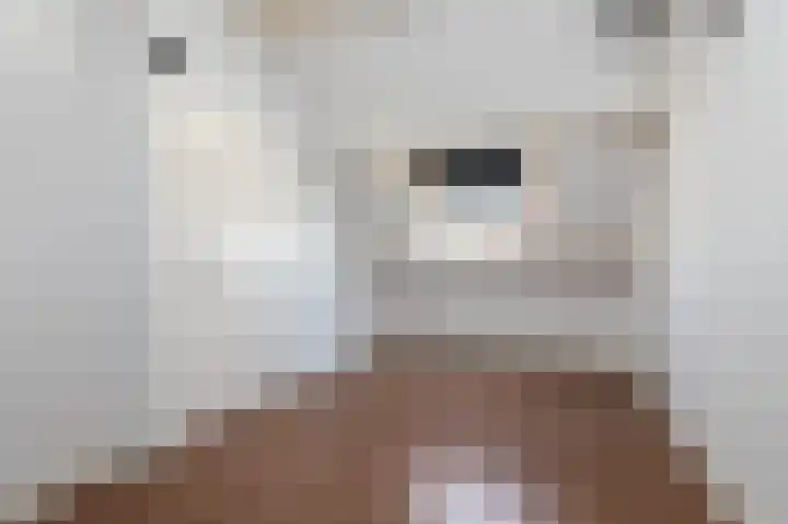 Heemraadsingel 45 Ter Aar thumbnail 27