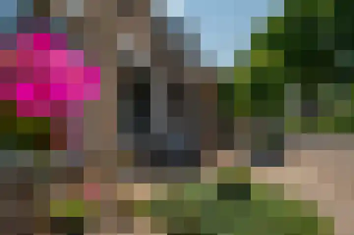Heemraadsingel 45 Ter Aar thumbnail 30