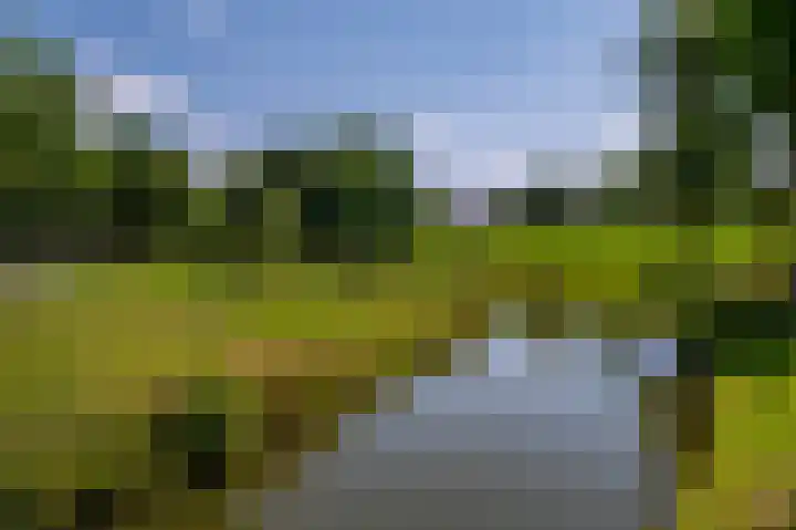 Heemraadsingel 45 Ter Aar thumbnail 33