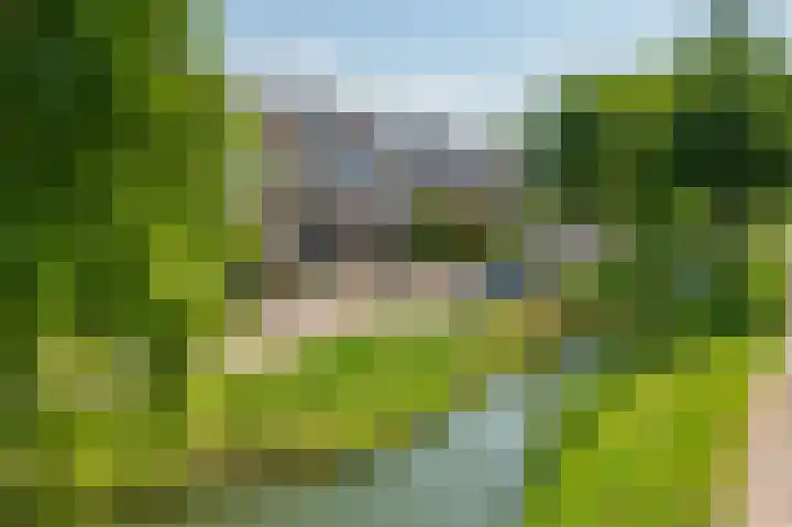 Heemraadsingel 45 Ter Aar thumbnail 4