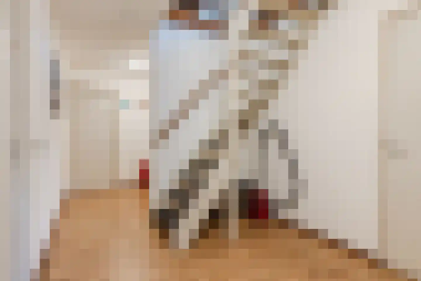 Heemraadsingel 9 Raamsdonk thumbnail 16