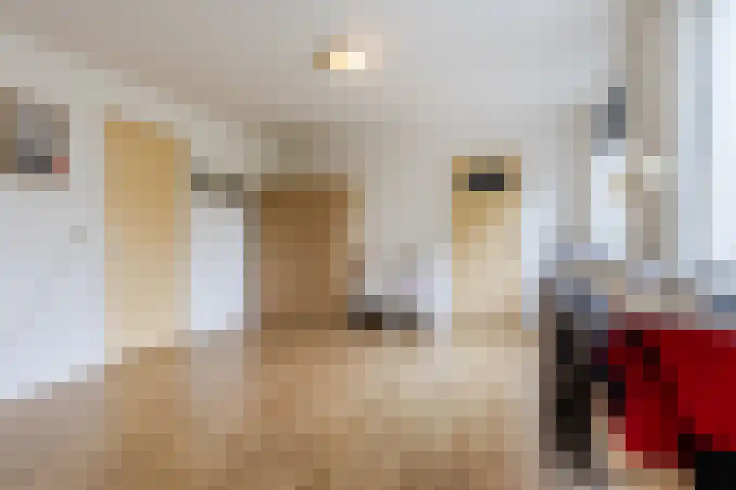 Heemraadsingel 9 Raamsdonk thumbnail 19