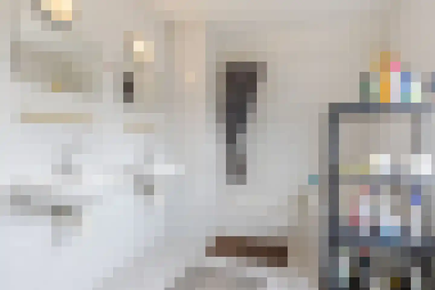 Heemraadsingel 9 Raamsdonk thumbnail 27