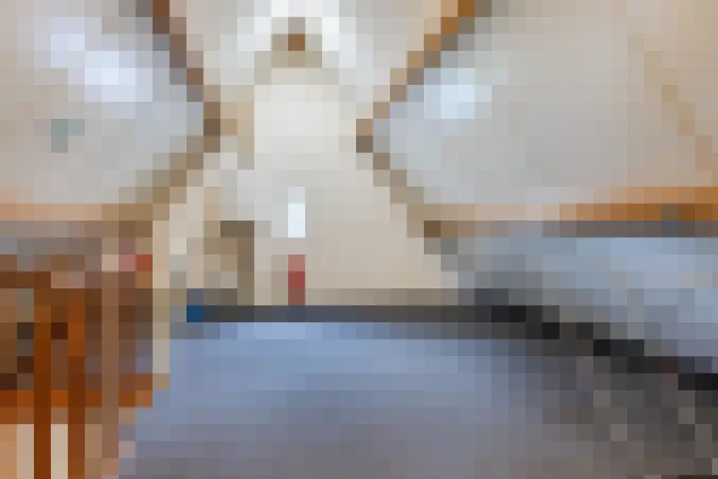 Heemraadsingel 9 Raamsdonk thumbnail 28