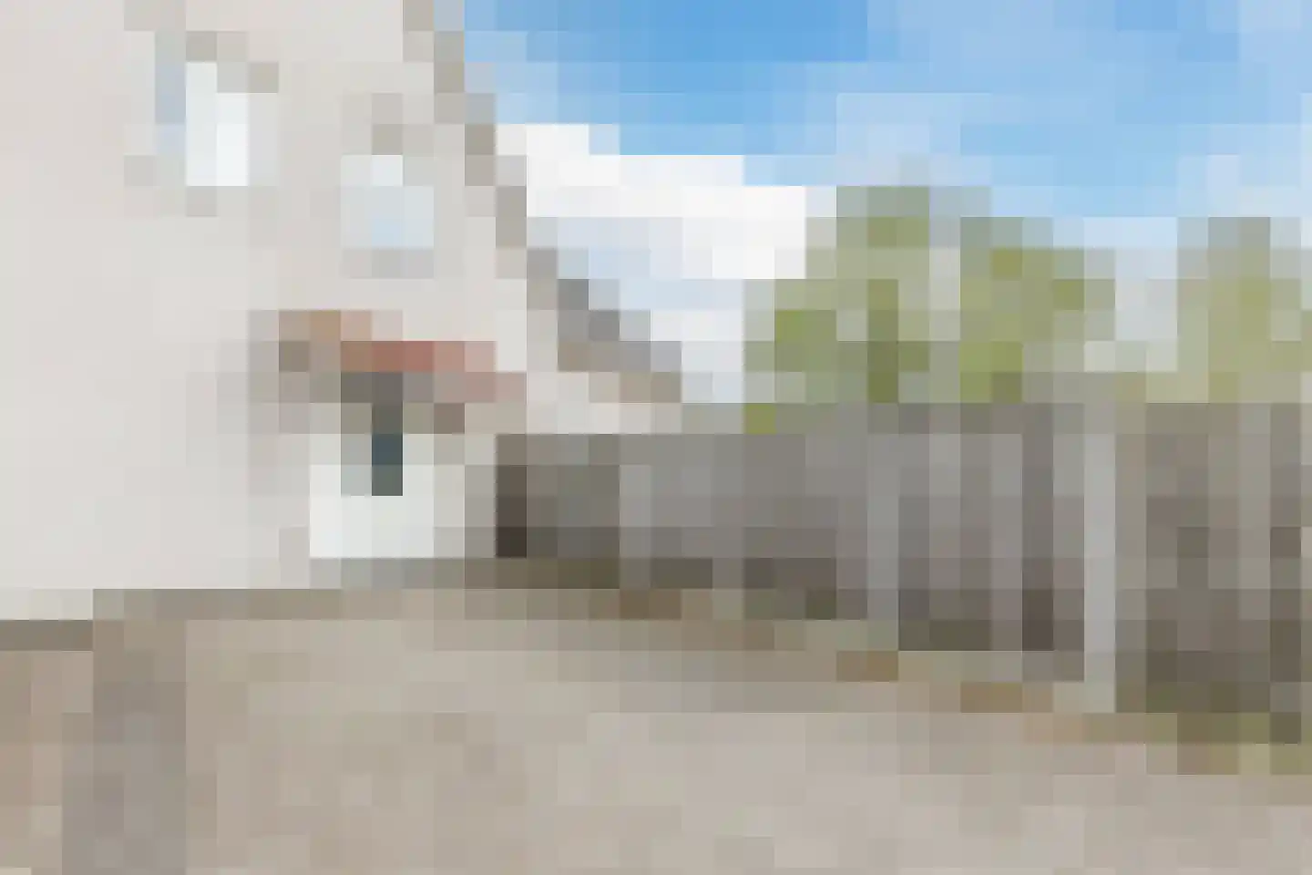 Heemraadsingel 9 Raamsdonk thumbnail 32