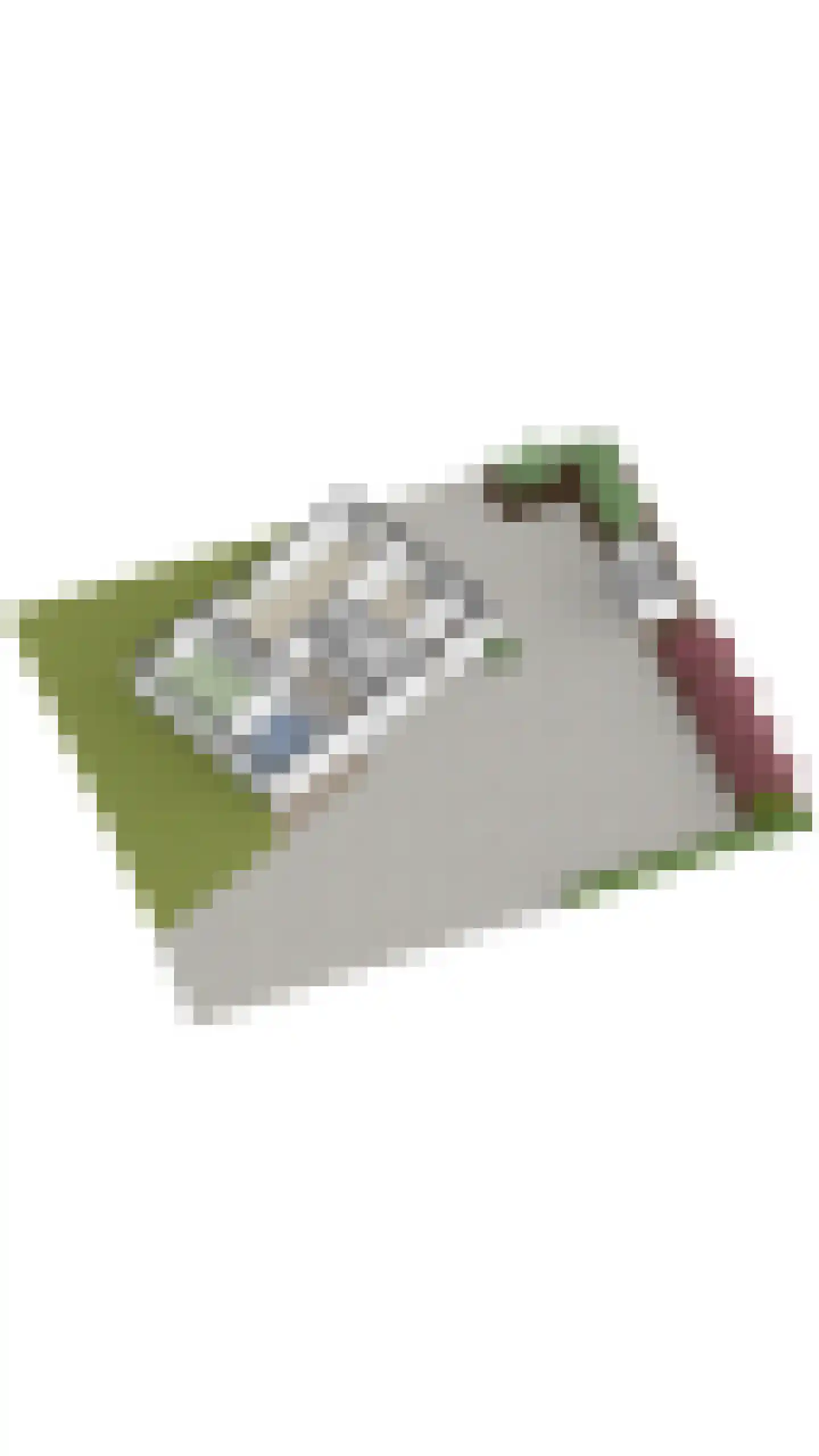 Heemraadsingel 9 Raamsdonk thumbnail 45