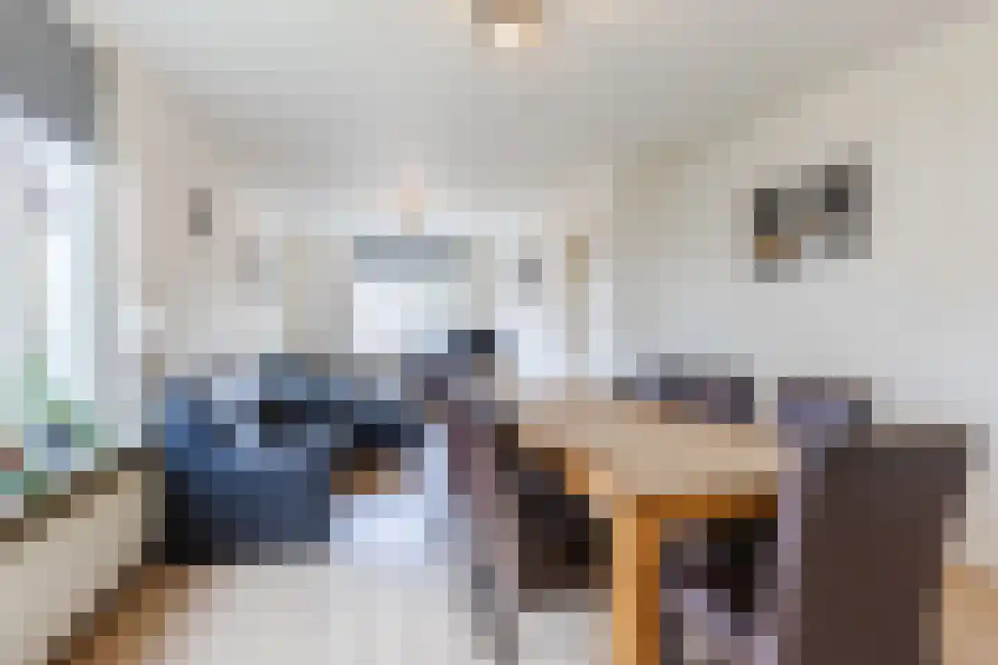 Heemraadsingel 9 Raamsdonk thumbnail 6