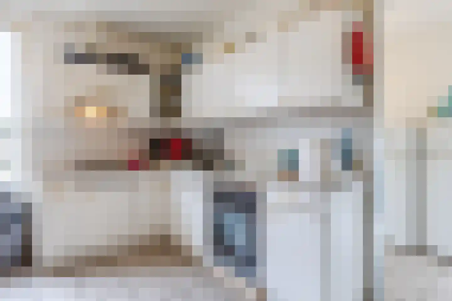 Heemraadsingel 9 Raamsdonk thumbnail 8