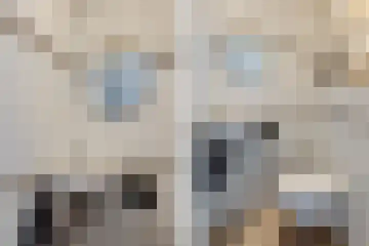 Heemraadslaan 18 Bodegraven thumbnail 10