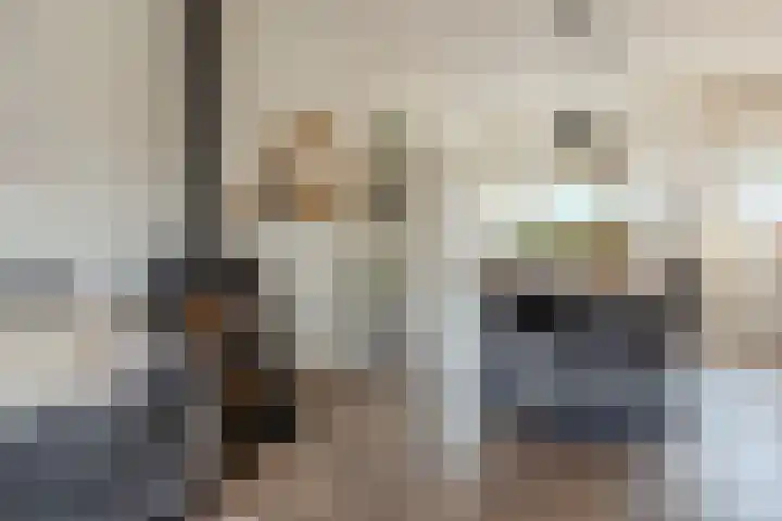 Heemraadslaan 18 Bodegraven thumbnail 11