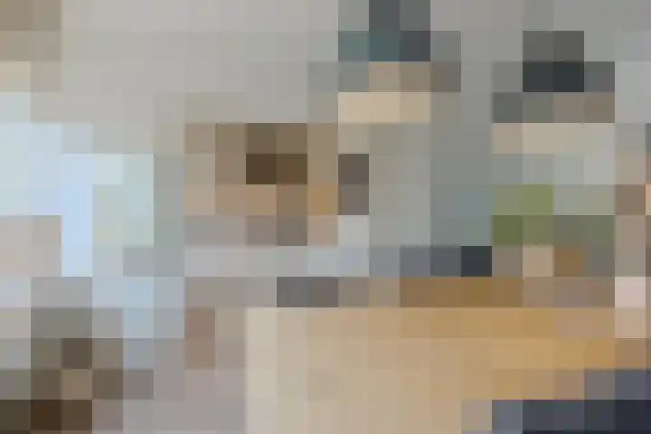 Heemraadslaan 18 Bodegraven thumbnail 19
