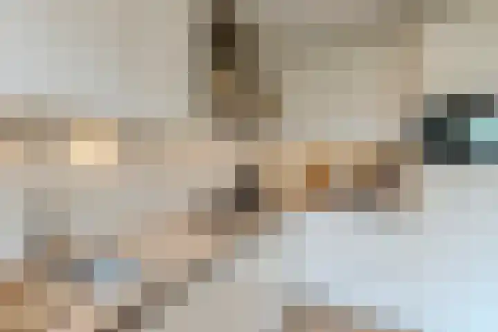 Heemraadslaan 18 Bodegraven thumbnail 21