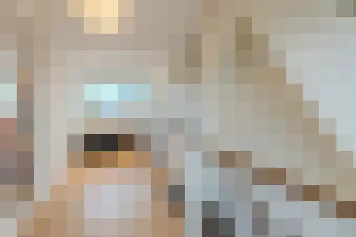 Heemraadslaan 18 Bodegraven thumbnail 27