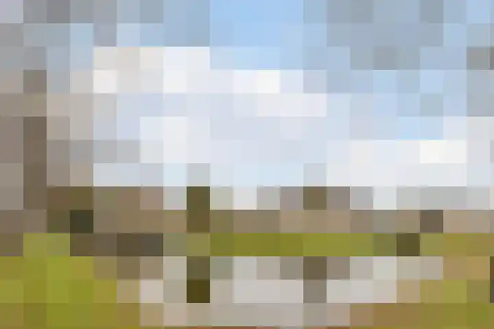 Heemraadslaan 18 Bodegraven thumbnail 34