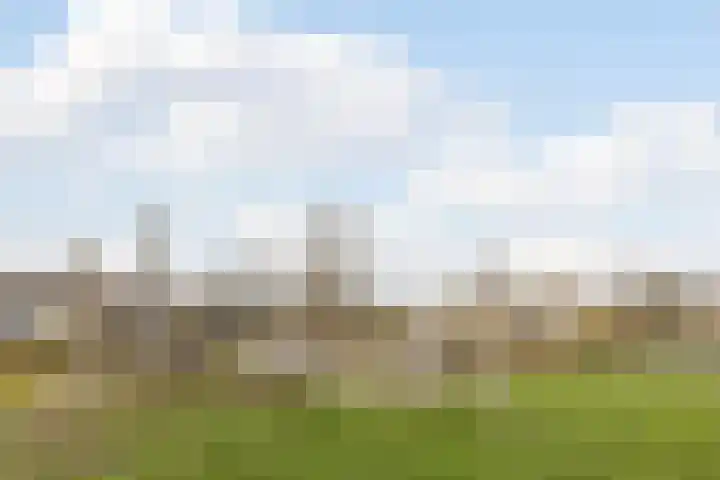 Heemraadslaan 18 Bodegraven thumbnail 35