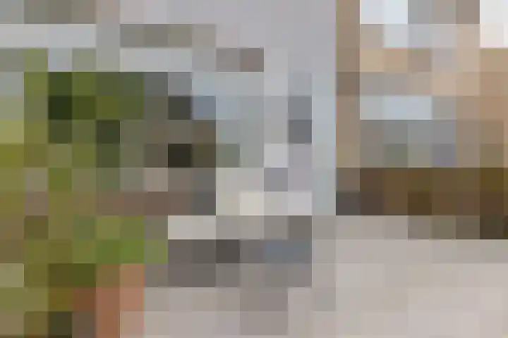 Heemraadslaan 18 Bodegraven thumbnail 8