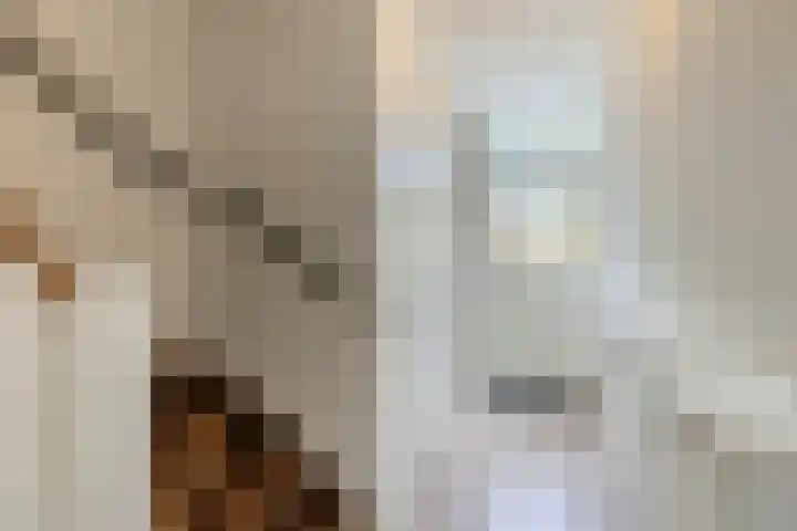 Heemraadslaan 18 Bodegraven thumbnail 9