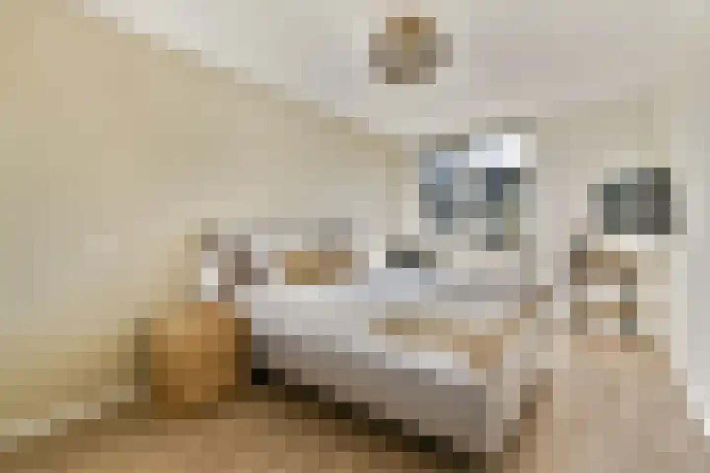 Heemraadslag 30 Gouda thumbnail 13