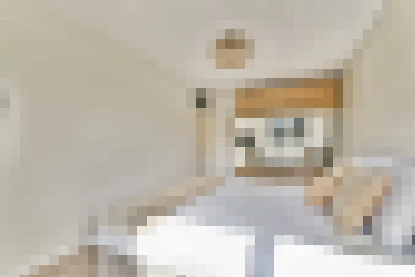 Heemraadslag 30 Gouda thumbnail 14