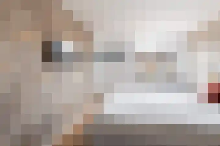Heemraadslag 36 Gouda thumbnail 28