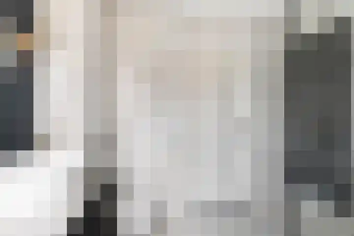 Heemraadslag 36 Gouda thumbnail 37