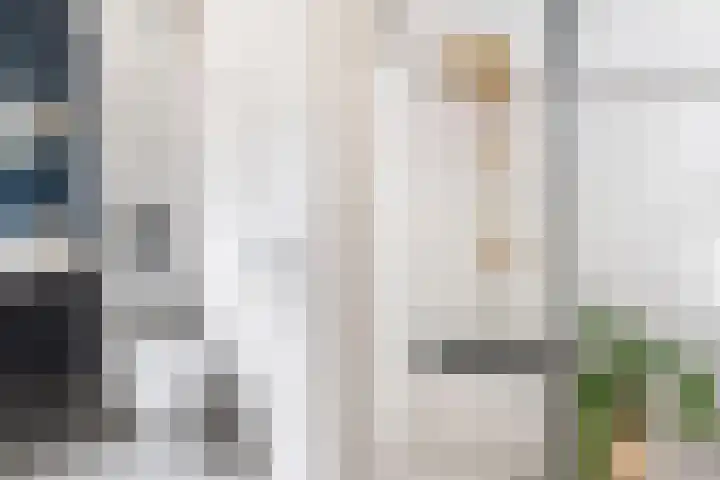 Heemraadslag 36 Gouda thumbnail 38