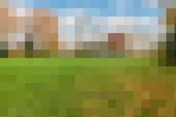 Heemraadslag 36 Gouda thumbnail 47