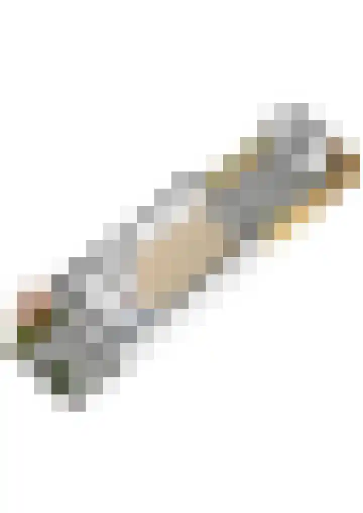 Heemraadslag 36 Gouda thumbnail 58