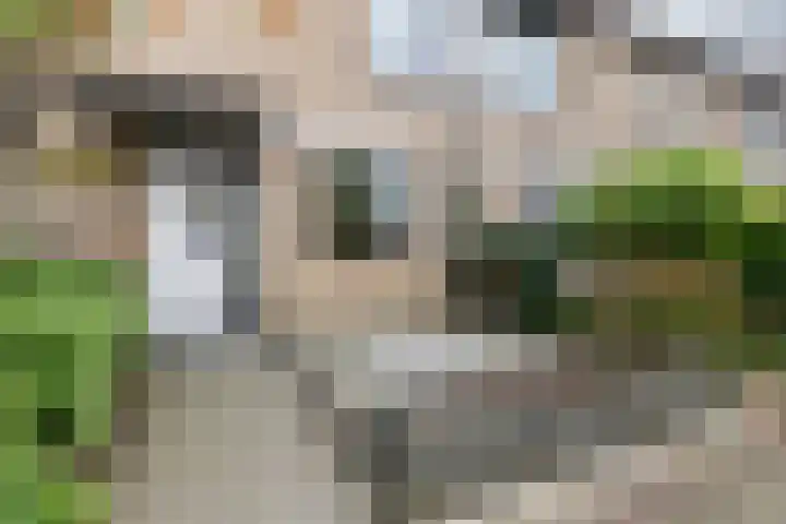Heemraadslag 36 Gouda thumbnail 6