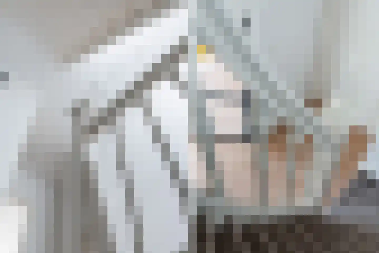 Heemraadsplein 10 A Rotterdam thumbnail 25