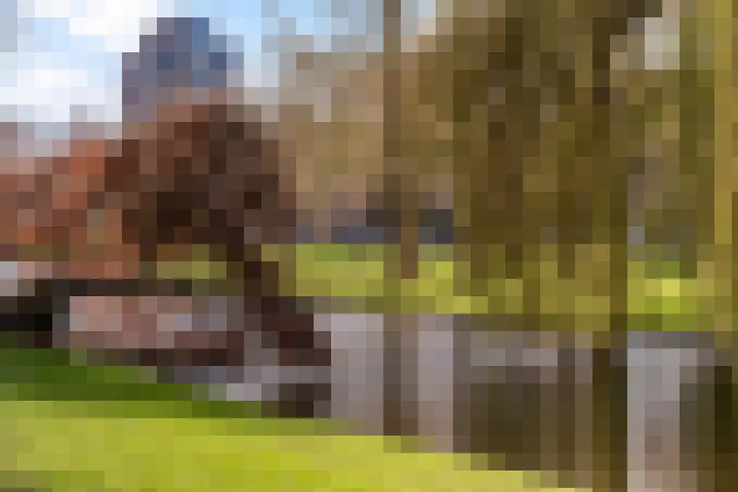 Heemraadsplein 10 A Rotterdam thumbnail 57