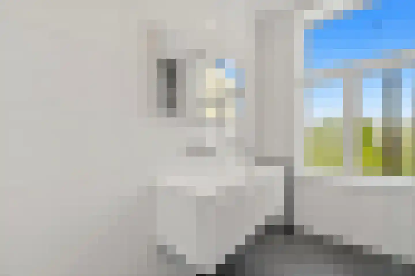 Heemraadsplein 14 A Rotterdam thumbnail 48