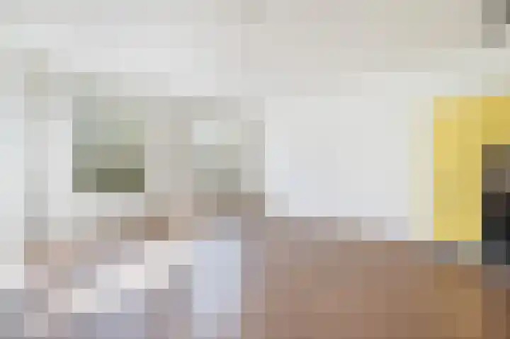 Heemraadssingel 103 BE Rotterdam thumbnail 10