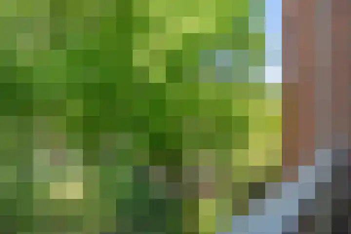 Heemraadssingel 103 BE Rotterdam thumbnail 20