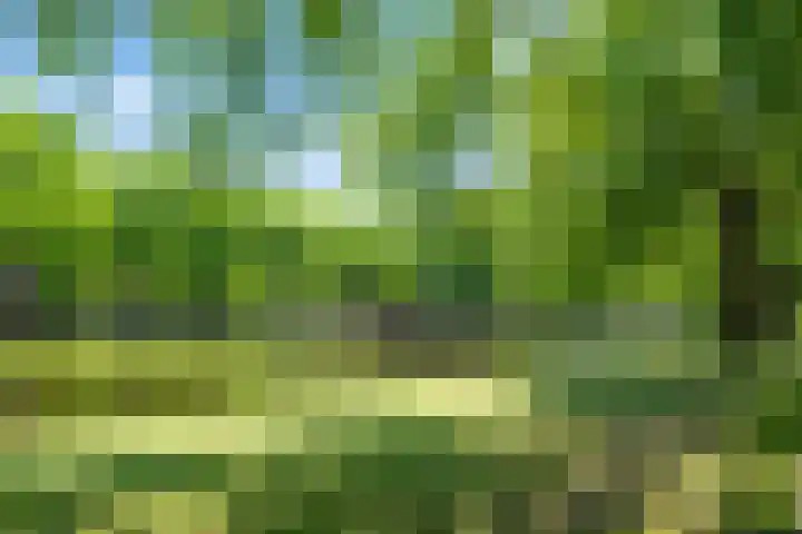 Heemraadssingel 103 BE Rotterdam thumbnail 25